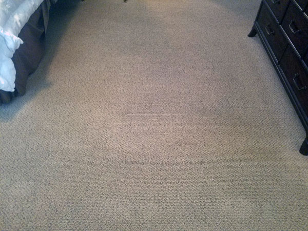 Pet carpet stain after