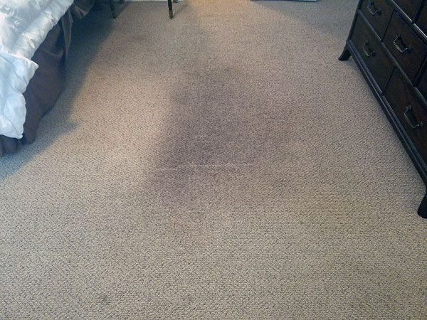Pet carpet stain before